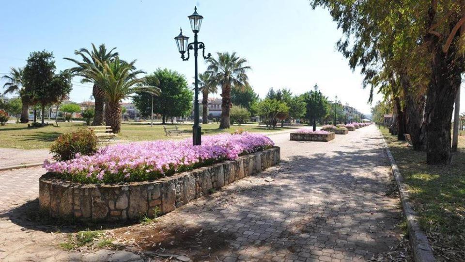 Zoi Apartments Paralia Dionysiou Exterior photo